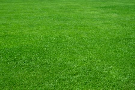 Lawn care myths