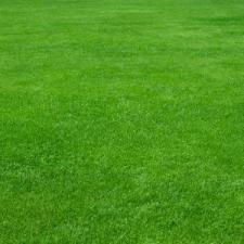 4 Myths About Lawn Care
