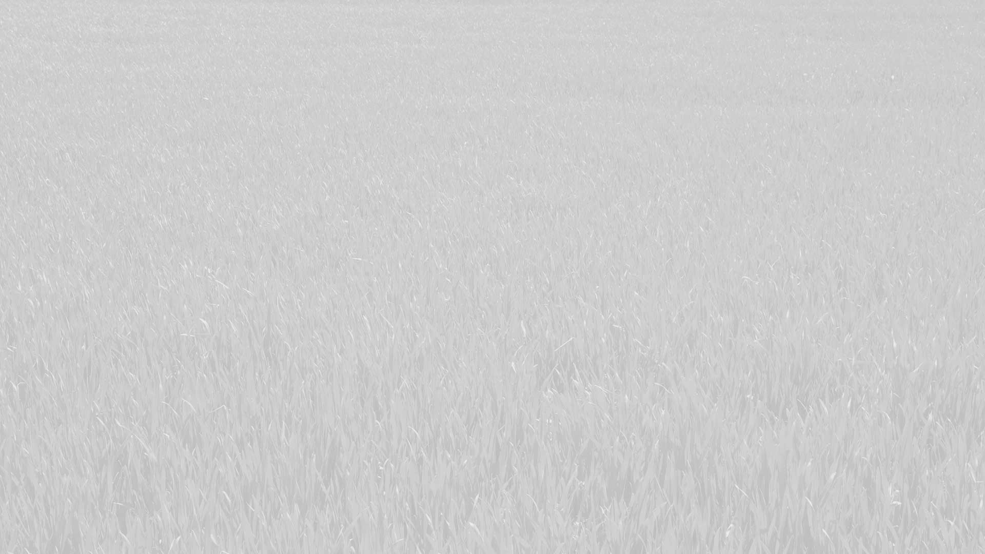 texture