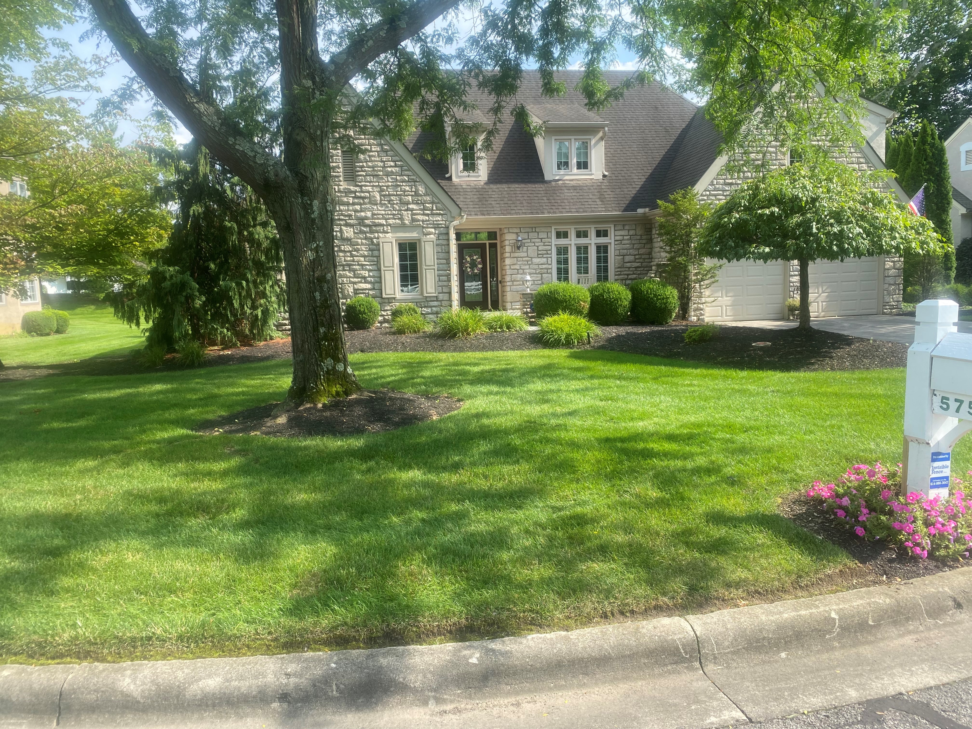 Westerville, Ohio Lawn Fertilization & Weed Control Success Story: NutriLawn’s Remarkable Transformation