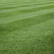 Columbus Lawn Fertilization Schedule: What to Apply and When